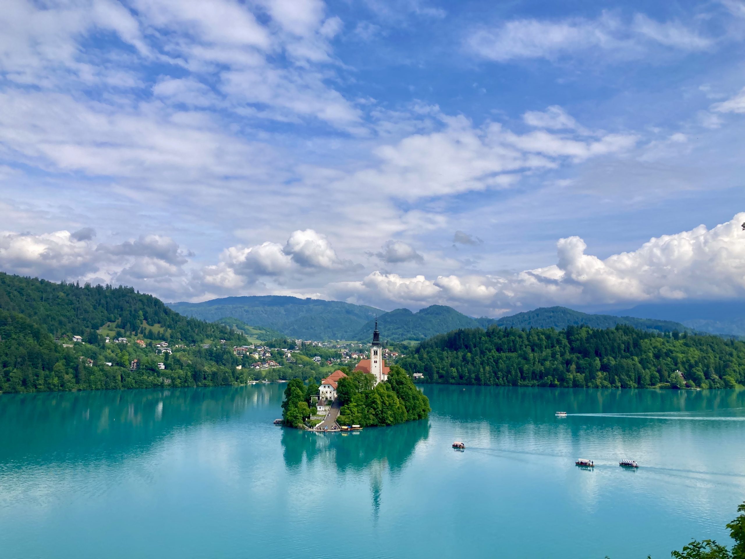 62E8D1AD-4270-436D-9524-B59595B78DCD_1_201_a