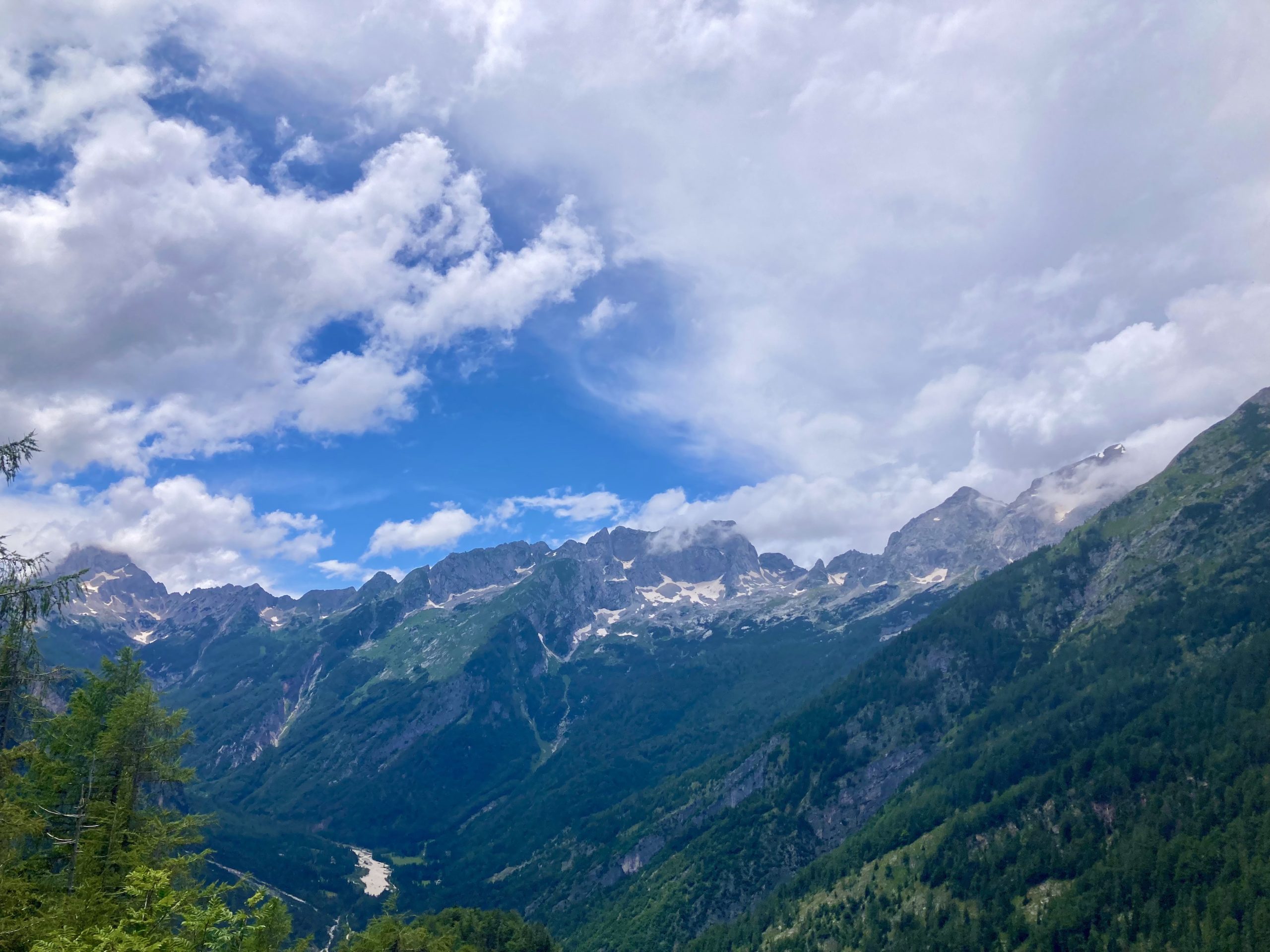 8A6167AE-DF01-4302-B68D-9253D905BD16_1_201_a