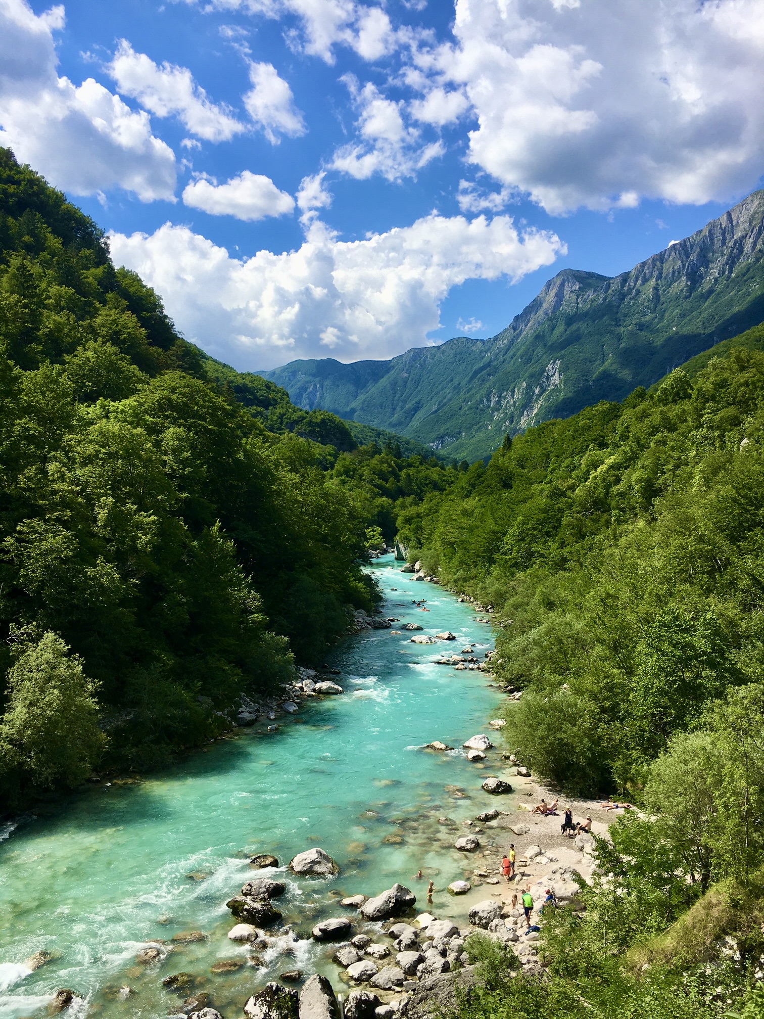 91D12A66-CA44-4E2D-85C2-7B733ADBE6B2_1_201_a