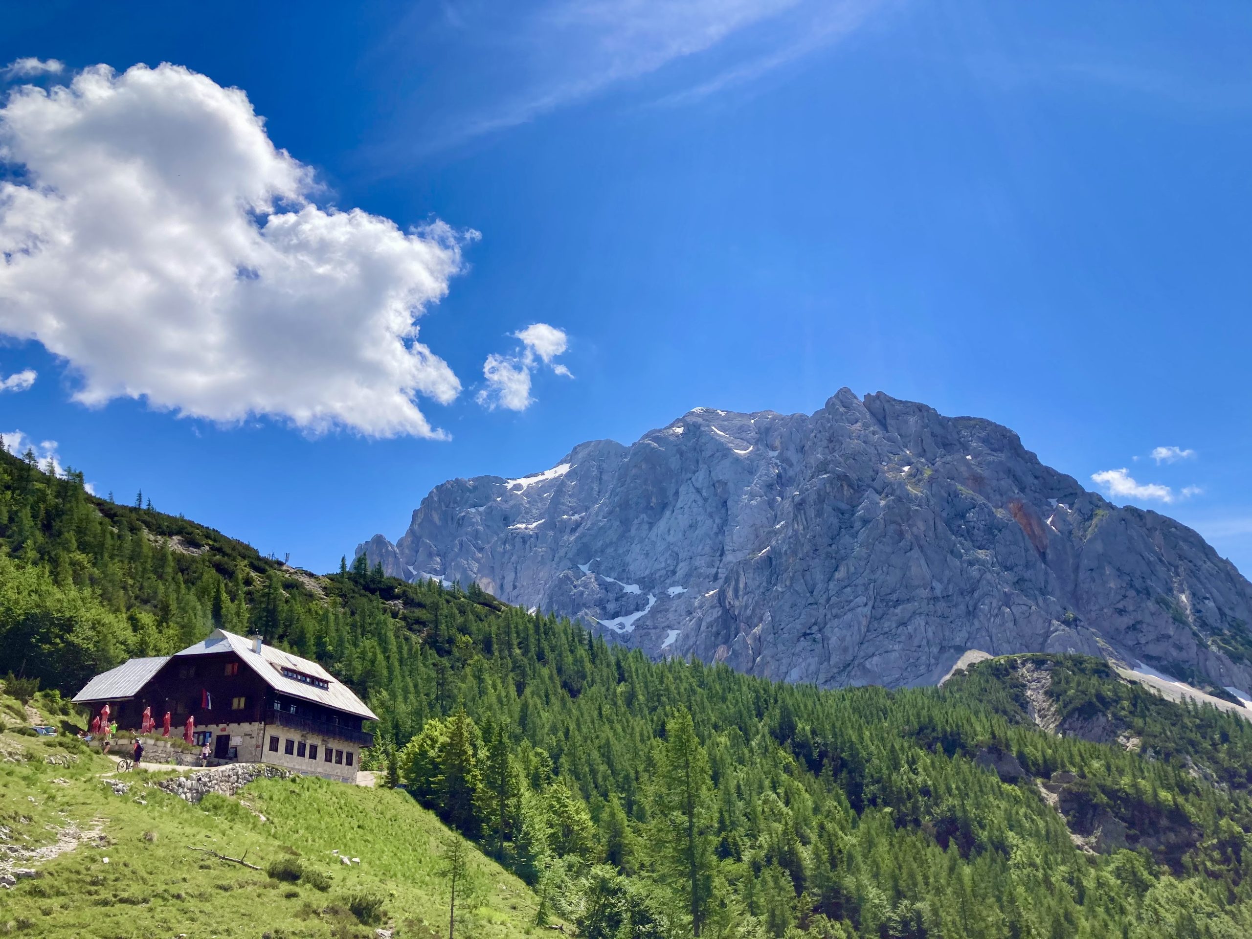 C9170C62-652F-4075-A6E5-6A9DE0577113_1_201_a