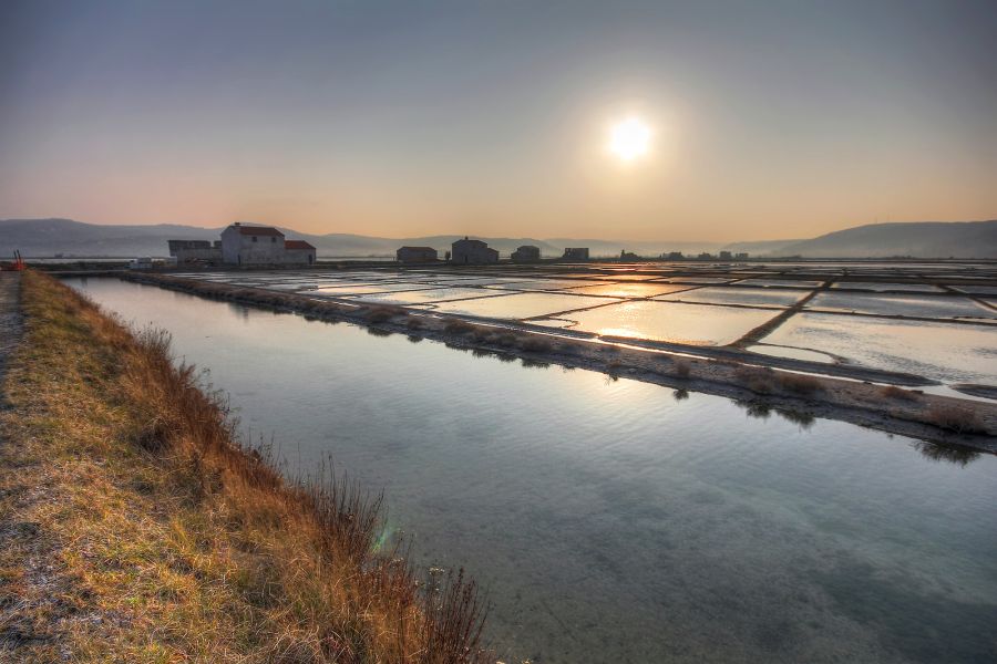 F002145-23_sezoveljske_soline_4232_orig_jpg-photo-m-STO-Mankica-Kranjec-mala