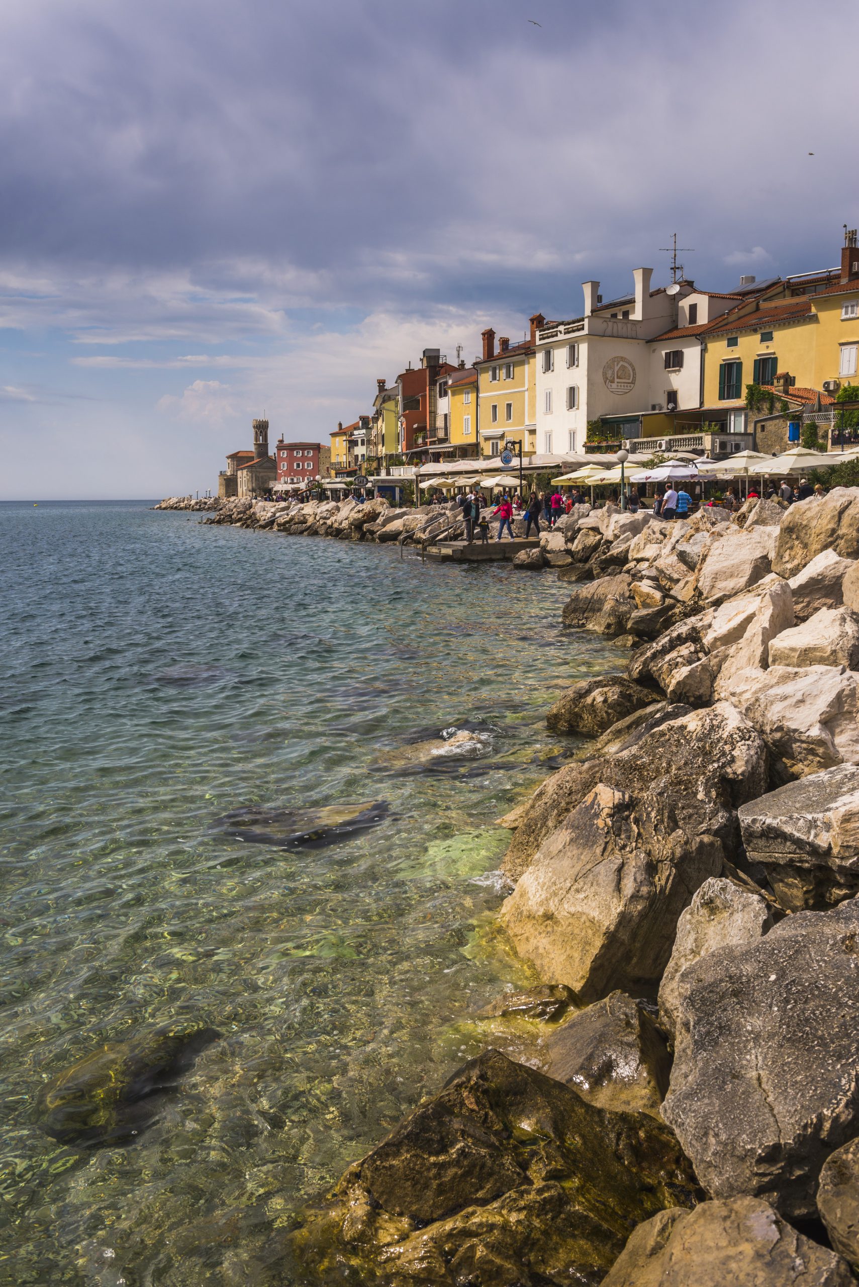 Piran sea front and Piran Lighthouse, Slovenian Istria, Slovenia, Europe